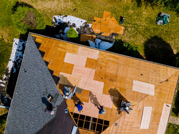 Best Roof Inspection Near Me  in Iraan, TX